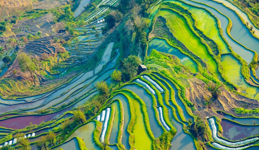 宝妈必备神器：桃山区产品视频拍摄轻松育儿好帮手
