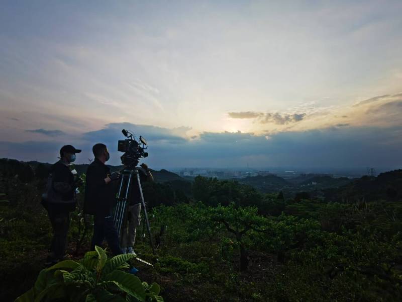 聚焦桃山区产品宣传视频拍摄公司，用专业实力铸就品牌传播传奇