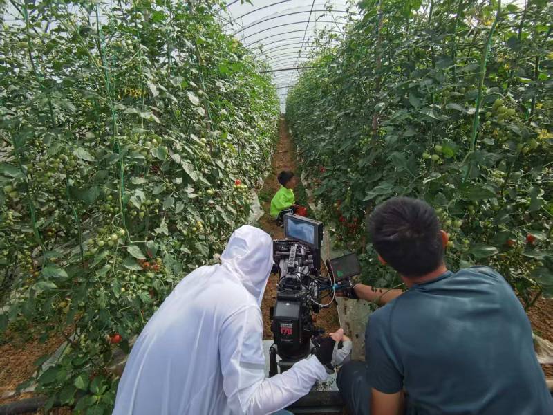 桃山区产品宣传视频拍摄公司进阶指南，助力品牌抢占传播高地